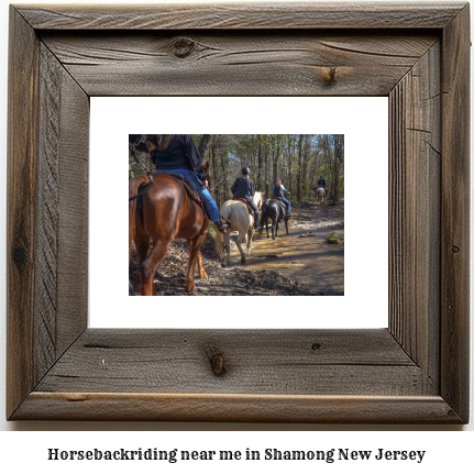 horseback riding near me in Shamong, New Jersey